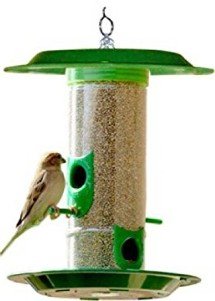 Bird House with Feeder